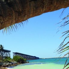 BAHIA-HONDACORAL-REEF-PARK-Big-Pine-Key-Florida-Keys.jpg