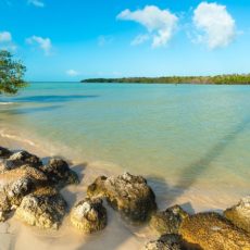 Keys-to-pleasure-marathon-fl.jpg