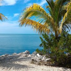 Marathon-Free-Press-Marathon-Florida-Keys.jpg