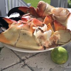 Recreational-Stone-Crabbing-in-Marathon-Florida-Keys.jpg