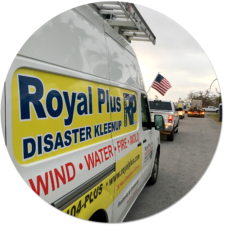 Royal-Plus_Cleanup-fl-keys.png