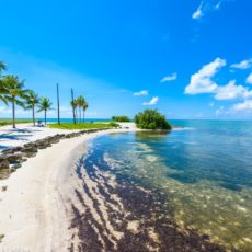 Sun-Automotive-Repair-formally-in-Marathon-Florida-Keys.jpg