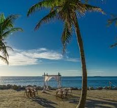 Tyler-Meredith-McMillian-Wedding-Key-Colony-Beach-Florida-Keys.jpeg