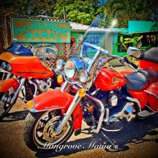 478975_385043318186081_281918546_o