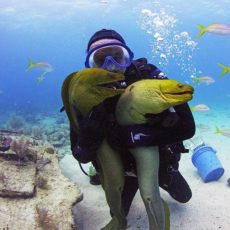 Capt.-Slates-Atlantis-Dive-Center-Key-Largo-Florida-Keys.jpg