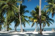 Community-Blood-Centers-of-South-Florida-Key-West-Florida-Keys.jpeg