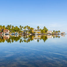 Gold-Card-Key-West-Key-West-Florida-Keys.jpg