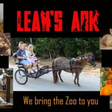 Leahs-Ark-Petting-Zoo-Key-Largo-Florida-Keys.jpg