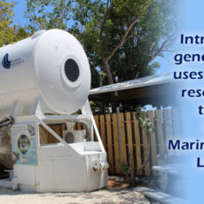Marine-Resources-Development-Foundation-Key-Largo-Florida-Keys.jpg