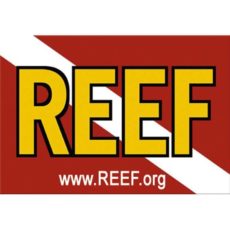 Reef-Environmental-Education-Foundation-Key-Largo-Florida-Keys.jpg