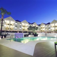Silver-Palm.jpg