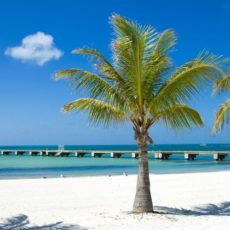 Skin-of-Key-West-Key-West-Florida-Keys.jpeg