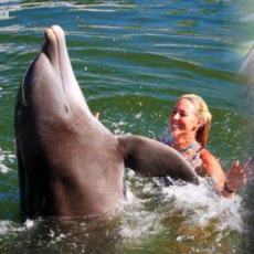 Swim-with-Dolphin-Key-Largo-Tours-Key-Largo-Florida-Keys.png