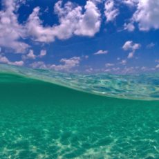 Tidal-Energy-Systems-Key-West-Florida-Keys.jpg