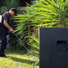 Williams-Pest-Control-LLC-Summerland-Key-Florida-Keys.jpg