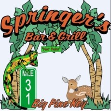 Springers-Logo-336x338-e1385416974275.jpg