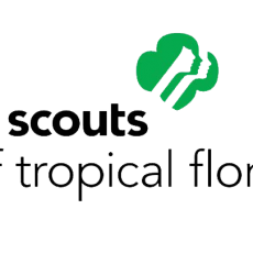 girls-scouts-tropical-florida-keys