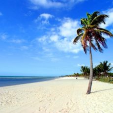 Benefits-Solutions-of-Florida-LLC-Marathon-Florida-Keys.jpg