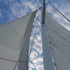 paradise-found-sailing.jpg