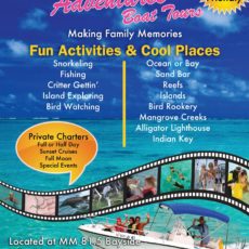 Easy Adventures Boat tours