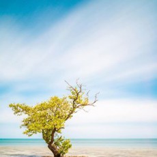 Bob Care Photography