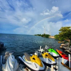 wet willy's watersports marathon fl