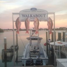 Walk-About-Sportfishing.jpg
