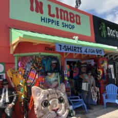 hippyshop4.jpg