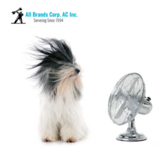 All Brands Corp. AC Inc. key largo fl