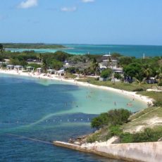 Daniel Hite, Realtor, Expert Real Estate Agent, Big Pine Key, Florida Keys