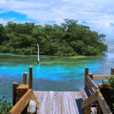 Rose-Horn-Realtor-Coldwell-Banker-Schmitt-Real-Estate-Agent-Big-Pine-Key-Florida-Keys.jpeg