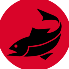travelfish fl keys