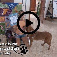 The Blessing of the Animals at St. Columba Episcopal Church October 1, 2023