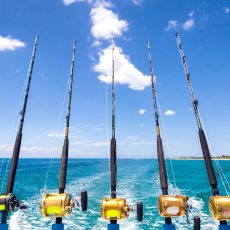 deep-sea-fishing-trip-adventure-fl-keys-charters.jpeg
